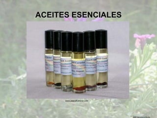 www.sierradebaza.org
ACEITES ESENCIALES
www.peacefulmind.com
 