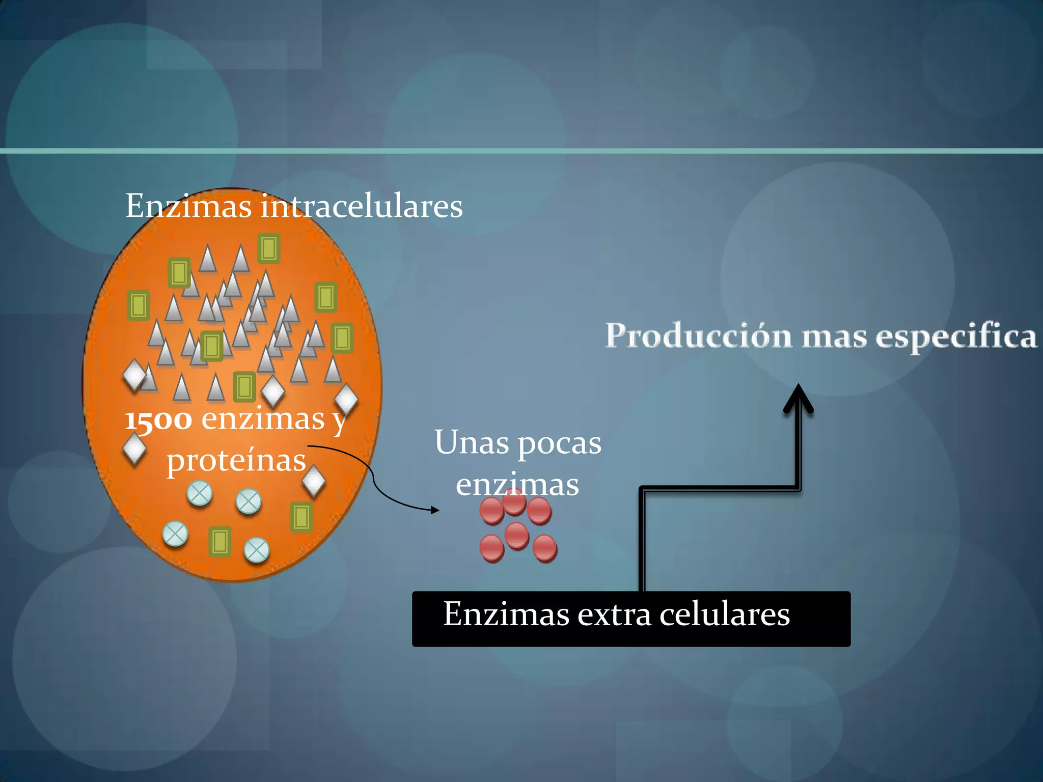 Obtencion industrial de enzimas especificas Presentacion | PPT