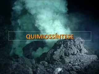 QUIMIOSSÍNTESEQUIMIOSSÍNTESE
 