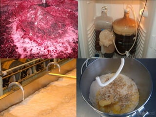 Obtenção de energia pelos seres vivos