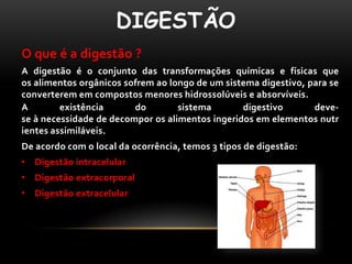 DIGESTÃO
O que é a digestão ?
A digestão é o conjunto das transformações químicas e físicas que
os alimentos orgânicos sofrem ao longo de um sistema digestivo, para se
converterem em compostos menores hidrossolúveis e absorvíveis.
A        existência      do        sistema       digestivo       deve-
se à necessidade de decompor os alimentos ingeridos em elementos nutr
ientes assimiláveis.
De acordo com o local da ocorrência, temos 3 tipos de digestão:
• Digestão intracelular
• Digestão extracorporal
• Digestão extracelular
 