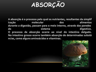 ABSORÇÃO

A absorção é o processo pelo qual os nutrientes, resultantes da simplif
icação             molecular               dos               alimentos
durante a digestão, passam para o meio interno, através das paredes
do                         sistema                           digestivo.
O processo de absorção ocorre ao nível do intestino delgado.
No intestino grosso ocorre também absorção de determinadas substâ
ncias, como alguns aminoácidos e vitaminas.
 