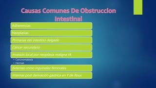 Adherencias
Neoplasias
Primarias del intestino delgado
Cáncer secundario
Invasión local por neoplasia maligna IA
• Carcinomatosis
• Hernias
Externas como inguinales femorales
Internas post derivación gastrica en Y de Roux
 