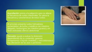 Auscultación: previa a la palpación para no alterar
la frecuencia de ruidos intestinales. Se valora la
frecuencia y características de estos ruidos.
Al principio presenta ruidos hidroaéreos
aumentados, de lucha y metálicos (en intestino
delgado), borborigmo (en intestino grueso) y en
fases avanzadas silencio abdominal.
Percusión: ayuda a evaluar la distensión
dependiendo de su contenido, gaseoso
(timpanismo) o líquido (matidez), y será dolorosa si
hay afectación de las asas o peritoneo.
 