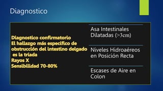 Diagnostico
Asa Intestinales
Dilatadas (>3cm)
Niveles Hidroaéreos
en Posición Recta
Escases de Aire en
Colon
 