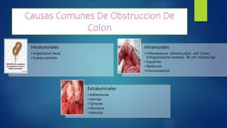 Causas Comunes De Obstruccion De
Colon
Intraluminales
• Impactacion fecal
• Cuerpo extraño
Intramurales
• Inflamaciones (diverticulitid , enf. Crohn,
linfogranuloma venéreo, TB, enf. Hishprung)
• Isquemia
• Radiacion
• Intususcepcion
Extraluminales
• Adherencias
• Hernias
• Tumores
• Abscesos
• Volvulos
 