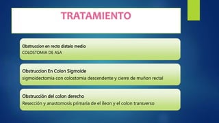 Obstruccion en recto distalo medio
COLOSTOMIA DE ASA
Obstruccion En Colon Sigmoide
sigmoidectomia con colostomia descendente y cierre de muñon rectal
Obstrucción del colon derecho
Resección y anastomosis primaria de el íleon y el colon transverso
 