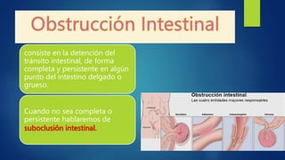 consiste en la detención del
tránsito intestinal, de forma
completa y persistente en algún
punto del intestino delgado o
grueso.
Cuando no sea completa o
persistente hablaremos de
suboclusión intestinal.
 