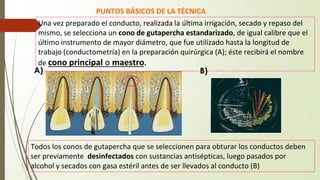 PUNTOS BÁSICOS DE LA TÉCNICA
Una vez preparado el conducto, realizada la última irrigación, secado y repaso del
mismo, se selecciona un cono de gutapercha estandarizado, de igual calibre que el
último instrumento de mayor diámetro, que fue utilizado hasta la longitud de
trabajo (conductometría) en la preparación quirúrgica (A); éste recibirá el nombre
de cono principal o maestro.
Todos los conos de gutapercha que se seleccionen para obturar los conductos deben
ser previamente desinfectados con sustancias antisépticas, luego pasados por
alcohol y secados con gasa estéril antes de ser llevados al conducto (B)
A) B)
 
