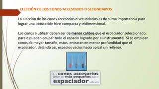 - ELECCIÓN DE LOS CONOS ACCESORIOS O SECUNDARIOS
La elección de los conos accesorios o secundarios es de suma importancia para
lograr una obturación bien compacta y tridimensional.
Los conos a utilizar deben ser de menor calibre que el espaciador seleccionado,
para q puedan ocupar todo el espacio logrado por el instrumental. Si se emplean
conos de mayor tamaño, estos entraran en menor profundidad que el
espaciador, dejando así, espacios vacíos hacia apical sin rellenar.
 