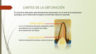 LIMITES DE LA OBTURACIÓN
Límite Apical
a 1 o 1,5 milímetros del ápice radiográfico (CDC)
coincidiendo con la longitud de trabajo
de la preparación quirúrgica.
Límite Cervical
hasta la entrada del conducto o piso de cámara
El nivel de la obturación está directamente relacionado con el nivel de la preparación
quirúrgica, por lo tanto todo el espacio conformado debe ser obturado.
 