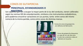 CONOS DE GUTAPERCHA
PRINCIPALES, ESTANDARIZADOS O
MAESTROS
Son aquellos que van a ocupar la mayor parte de la luz del conducto, vienen calibrados
según las normas ISO de estandarización, similares a los instrumentos endodónticos,
pero podemos encontrar variaciones en sus puntas, tanto entre conos del mismo
número de la misma partida, como entre conos de distintas marcas.
Puntas de conos de gutapercha
con defectos de fabricación.
Conos de gutapercha dispuestos
en cajas de 1a y de 2da serie.
El color de su extremo indica el
diámetro en la punta.
 