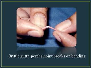 Brittle gutta-percha point breaks on bending
 
