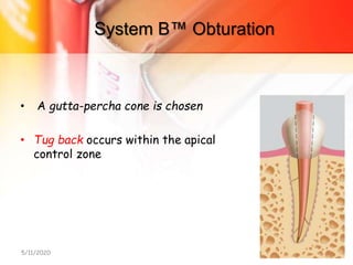 System B™ Obturation
• A gutta-percha cone is chosen
• Tug back occurs within the apical
control zone
5/11/2020 109
 