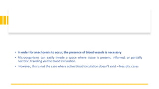 • In order for anachoresis to occur, the presence of blood vessels is necessary.
• Microorganisms can easily invade a space where tissue is present, inflamed, or partially
necrotic, traveling via the blood circulation.
• However, this is not the case where active blood circulation doesn’t exist – Necrotic cases
 