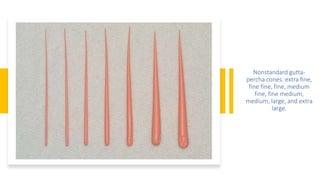 Nonstandard gutta-
percha cones: extra fine,
fine fine, fine, medium
fine, fine medium,
medium, large, and extra
large.
 