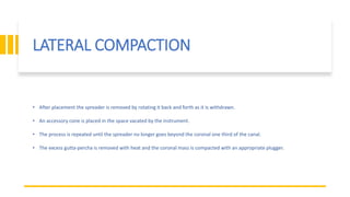 LATERAL COMPACTION
• After placement the spreader is removed by rotating it back and forth as it is withdrawn.
• An accessory cone is placed in the space vacated by the instrument.
• The process is repeated until the spreader no longer goes beyond the coronal one third of the canal.
• The excess gutta-percha is removed with heat and the coronal mass is compacted with an appropriate plugger.
 