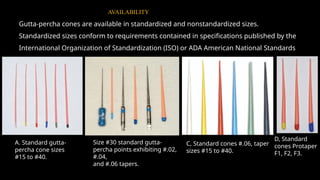 Gutta-percha cones are available in standardized and nonstandardized sizes.
Standardized sizes conform to requirements contained in specifications published by the
International Organization of Standardization (ISO) or ADA American National Standards
Institute (ADA ANSI).
A. Standard gutta-
percha cone sizes
#15 to #40.
C, Standard cones #.06, taper
sizes #15 to #40.
D, Standard
cones Protaper
F1, F2, F3.
AVAILABILITY
Size #30 standard gutta-
percha points exhibiting #.02,
#.04,
and #.06 tapers.
 