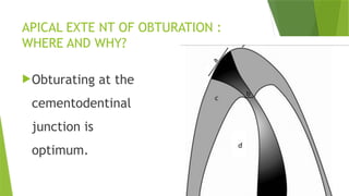 Obturation of root canals endodontics.pptx
