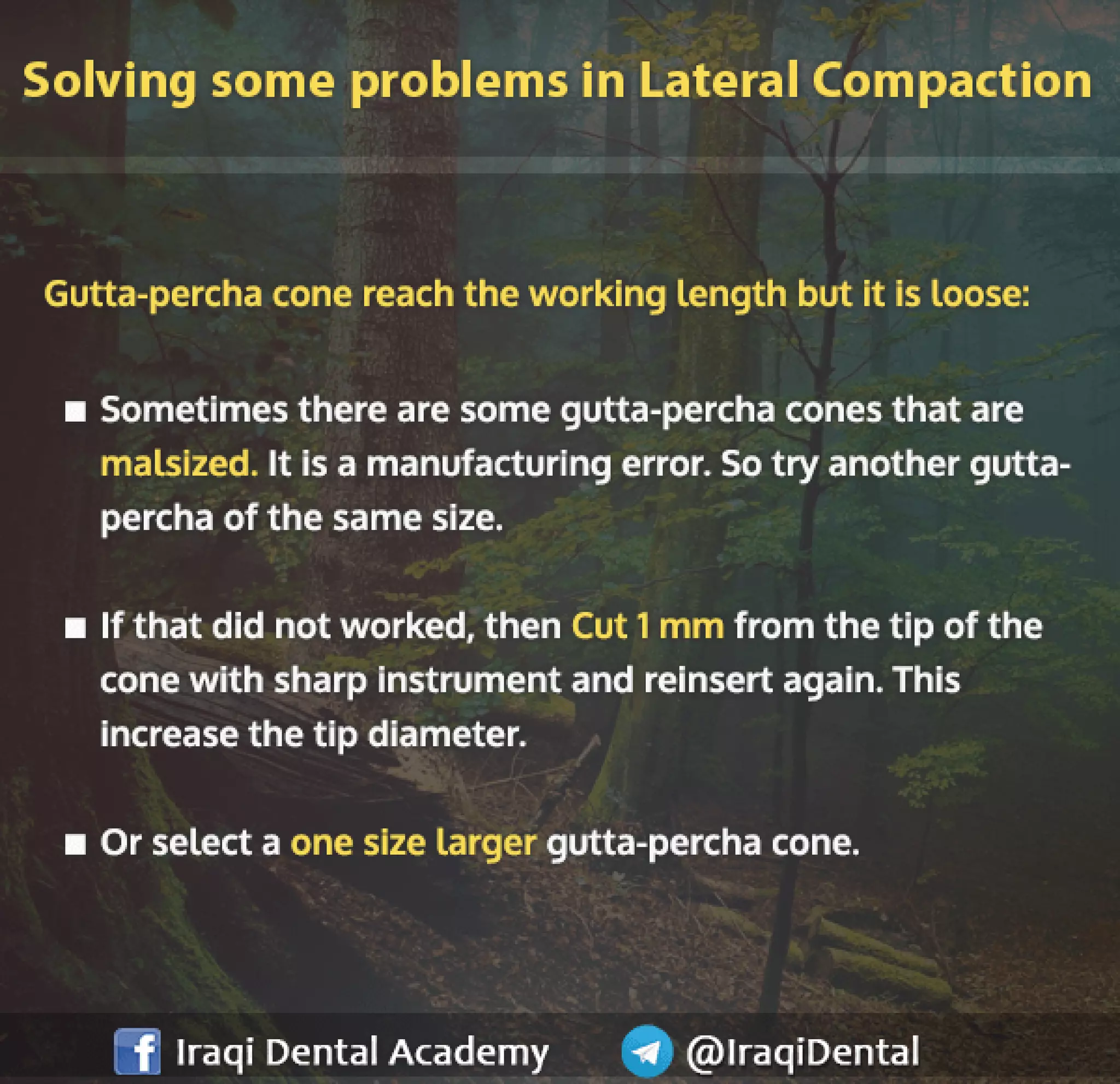 Obturation of Root Canal - Brief Presentation