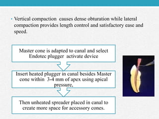 • Vertical compaction causes dense obturation while lateral
compaction provides length control and satisfactory ease and
speed.
Then unheated spreader placed in canal to
create more space for accessory cones.
Insert heated plugger in canal besides Master
cone within 3-4 mm of apex using apical
pressure,
Master cone is adapted to canal and select
Endotec plugger activate device
 