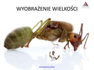 WYOBRAŻENIE WIELKOŚCI
www.agatalimanowka.pl
 
