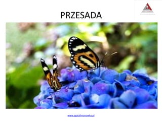 PRZESADA
www.agatalimanowka.pl
 