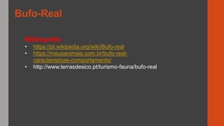 Bufo-Real
Bibliografia
• https://pt.wikipedia.org/wiki/Bufo-real
• https://meusanimais.com.br/bufo-real-
caracteristicas-comportamento/
• http://www.terrasdesico.pt/turismo-fauna/bufo-real
 