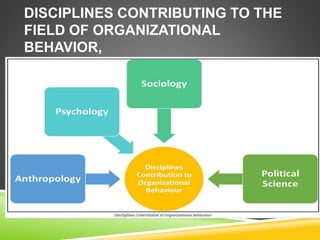 DISCIPLINES CONTRIBUTING TO THE
FIELD OF ORGANIZATIONAL
BEHAVIOR,
 