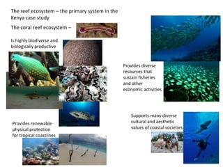The reef ecosystem – the primary system in the
Kenya case study
The coral reef ecosystem –

Is highly biodiverse and
biologically productive


                                                 Provides diverse
                                                 resources that
                                                 sustain fisheries
                                                 and other
                                                 economic activities




                                                    Supports many diverse
Provides renewable                                  cultural and aesthetic
physical protection                                 values of coastal societies
for tropical coastlines
 