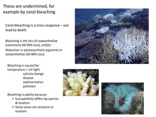 These are undermined, for
example by coral bleaching

 Coral bleaching is a tress response – can
 lead to death

 Bleaching is the loss of zooxanthellae
 (commonly 60-90% loss); and/or
 Reduction in photosynthetic pigments in
 zooxanthellae (50-80% loss)


  Bleaching is caused by:
  temperature + UV light
             salinity change
             disease
             sedimentation
             pollution

  Bleaching is patchy because:
     • Susceptibility differs by species
       & location
     • Some areas are resistant or
       resilient
 