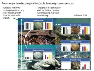 From organism/ecological impacts to ecosystem services
Functions within the          Functions at the community
coral-algal symbiosis; e.g.   level; e.g. habitat creation,
reproduction, growth –        nutrient cycling, microbial
‘local’ or small scale        metabolism                      Wild et al. 2011
impacts
 