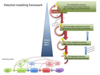 Potential modelling framework                                        A) Unexploited resource
                                                             Multi-species, full size range, full biomass
                                                             Also – coral/algae as community indicators
                                          INDICATORS
                                          # species, biomass, size

                                                  r0
                                                             r1




                                                             B) Sustainably exploited resource
                                                            Multi-species, full size range, lower biomass




                                Fishers
                                Gears                             C) Over-exploited resource
                                Effort                       Fewer-species, smaller sizes, low biomass




                                                                      D) Degraded resource
                                                                  Few-species, small, very low biomass
 