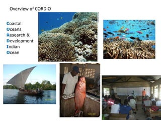 Overview of CORDIO

Coastal
Oceans
Research &
Development
Indian
Ocean
 