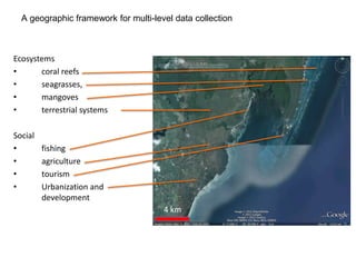 A geographic framework for multi-level data collection



Ecosystems
•      coral reefs
•      seagrasses,
•      mangoves
•      terrestrial systems

Social
•        fishing
•        agriculture
•        tourism
•        Urbanization and
         development
                                      4 km
 