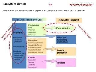Ecosystem services                                               Poverty Alleviation
Ecosystems are the foundations of goods and services in local to national economies
 
