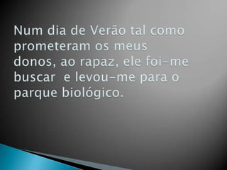 Num dia de Verão tal como prometeram os meus donos, ao rapaz, ele foi-me buscar  e levou-me para o parque biológico.