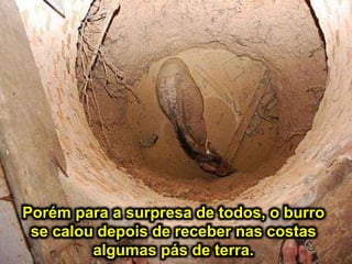 Porém para a surpresa de todos, o burro
se calou depois de receber nas costas
algumas pás de terra.
 