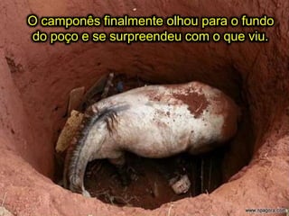 O camponês finalmente olhou para o fundo
do poço e se surpreendeu com o que viu.
 