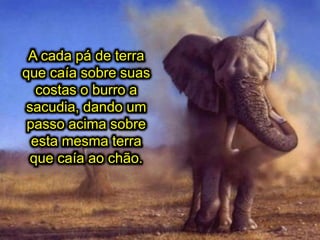 A cada pá de terra
que caía sobre suas
costas o burro a
sacudia, dando um
passo acima sobre
esta mesma terra
que caía ao chão.
 