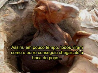 Assim, em pouco tempo, todos viram
como o burro conseguiu chegar até a
boca do poço...
 