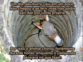 Um dia, seu burro caiu em um poço.
Não chegou a se ferir, mas não podia
sair dali por conta própria.
Por isso o animal chorou fortemente
durante horas, enquanto o camponês
pensava no que fazer.
 