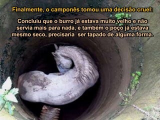 Finalmente, o camponês tomou uma decisão cruel:Finalmente, o camponês tomou uma decisão cruel:
Concluiu que o burro já estava muito velho e não
servia mais para nada, e também o poço já estava
mesmo seco, precisaria ser tapado de alguma forma.
 