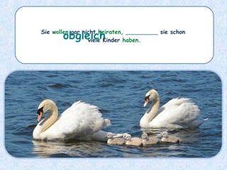 Sie wollen gar nicht heiraten, _________ sie schon
viele Kinder haben.
obgleich
 