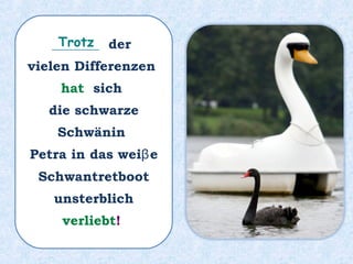 _______ der
vielen Differenzen
hat sich
die schwarze
Schwänin
Petra in das weiβe
Schwantretboot
unsterblich
verliebt!
Trotz
 