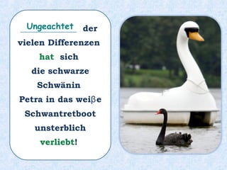 _____________ der
vielen Differenzen
hat sich
die schwarze
Schwänin
Petra in das weiβe
Schwantretboot
unsterblich
verliebt!
Ungeachtet
 