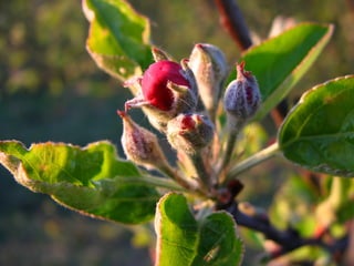 Open Coffee Athens - Patrick de Laive