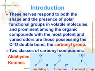  These nerves respond to both the
shape and the presence of polar
functional groups in volatile molecules,
and prominent among the organic
compounds with the most potent and
varied odors are those possessing the
C=O double bond, the carbonyl group.
 Two classes of carbonyl compounds:
Aldehydes
Ketones
Introduction
O
C
Carbonyl group
O
C
R H
An aldehyde
O
C
R R’
An ketone
 