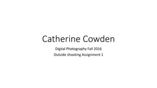 Catherine Cowden
Digital Photography Fall 2016
Outside shooting Assignment 1
 