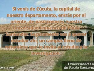 Ocaña, Tierra de placeres